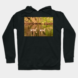 Greylag geese, Isle of Mull Hoodie